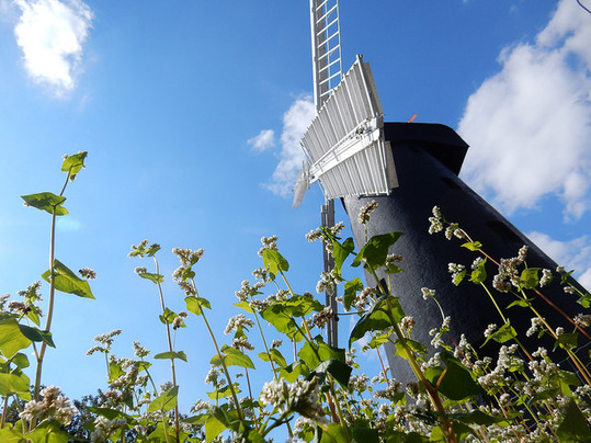 Brixton Windmill Brixton Windmill